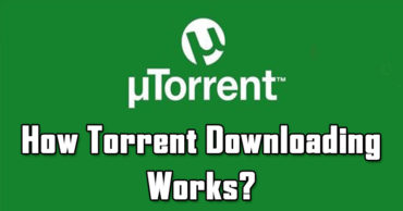 What Are Torrents? How Does Torrent Downloading Works?