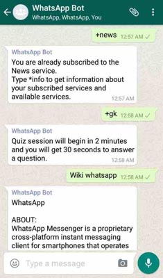 Use WhatsApp as Search Engine