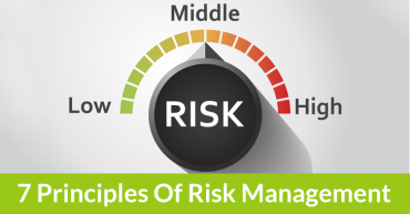 What Are The 7 Principles Of Risk Management?